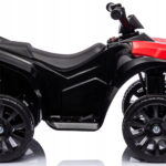 Elektriline ATV,2x30W,värvivalik.Tasuta kulleriga koju!