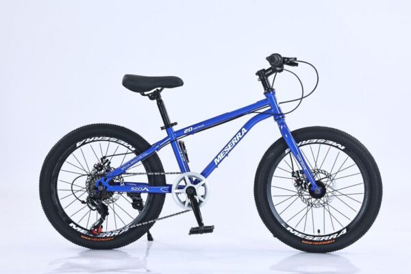 Jalgratas "Meserra" 20",110-130cm,värvivalik.Tasuta kulleriga koju!