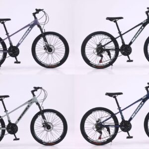 Jalgratas "Meserra"20" Alum.raam,Kameeleon värv!!110-130cm.