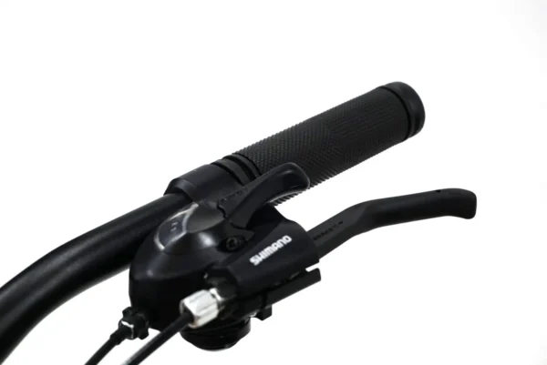 Jalgratas "Camp" 29",alum.raam,165-180cm.Tasuta kulleriga koju!