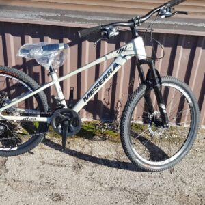 Jalgratas "Meserra"24" Alum.raam,Kameeleon värv!!130-150cm.