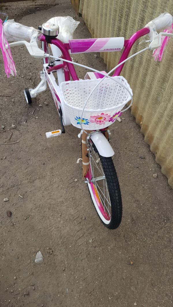 Jalgratas Princess 20" ,roosa.Tasuta kulleriga koju!