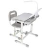 Laste koolilaud, reguleeritav tool, LED-lamp, USB, Hall.