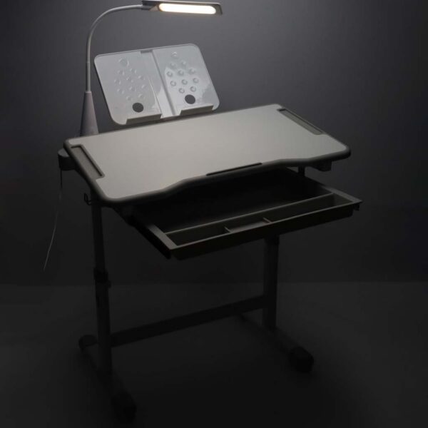 Laste koolilaud, reguleeritav tool, LED-lamp, USB, Hall.